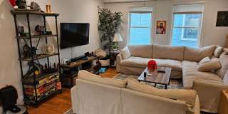 Beautiful 5 bed penthouse unit in lower Allston available 9/1/26 Gallery 4