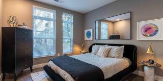 Library Park Apartment Gallery 33