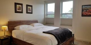 Modern 3-Bedroom Curtis Park Townhome Steps from RiNo & Larimer Street Gallery 55