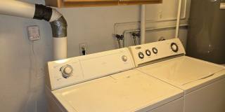 2 Bed 1 Bath Garden Level Duplex Gallery 4