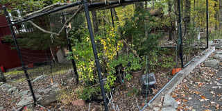 124 Saunders Drive Gallery 16