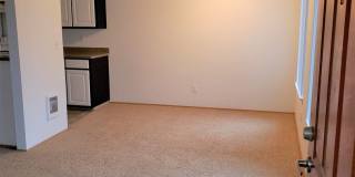 One Bedroom, One Bath - Special $1275.00 and Second Month Free! Gallery 83