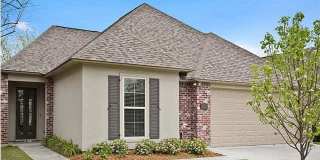 Beautiful Home off Bluebonette and Perkins Gallery 1