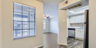 Rise Spring Pointe Gallery 79