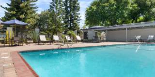 The Pines Apartments Gallery 60