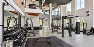 Mira Delray Gallery 43