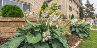 2M Apartments Gallery 76