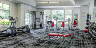 Essex Apartments Gallery 18