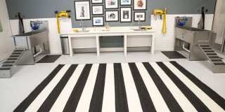 The Whit Gallery 56