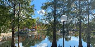 Venetian Place - 1323 Gallery 11