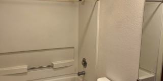 Beautiful 2 Bed 2 Bath Apartment - FIRST MONTH FREE!! Gallery 26