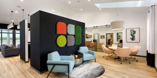 Cobalt Ridge Gallery 15