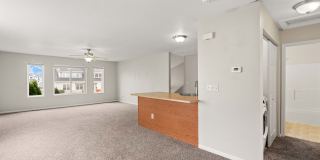 3905 Marigold Drive - 1 Gallery 8