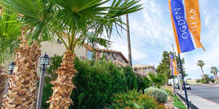 Ogden Villas Gallery 41