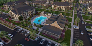 The Canter The Canter Gallery 14