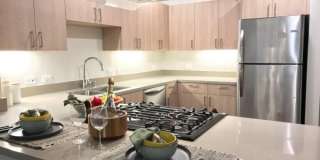 Latitude 37 Gallery 24