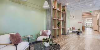 The Gallery Gallery 11