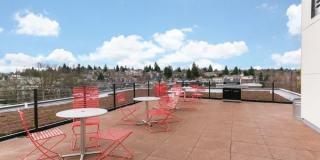 Helene Apartments Gallery 47