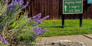 Tanglewood Apartments Gallery 7