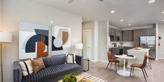 Allora Alamo Heights Allora Alamo Heights Gallery 23