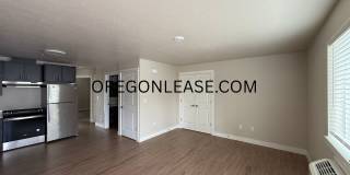 Newer 2-Bedroom Apartment Gallery 2
