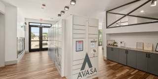 Avasa Spring Branch Gallery 11