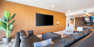 Maris Gallery 30
