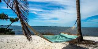 387 ARUBA CIRCLE Gallery 43