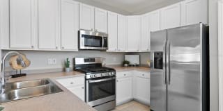 1427 HARBOUR WALK A ROAD Gallery 23