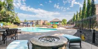 The Falls Gallery 15