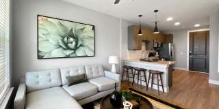 Camber Ranch Gallery 35