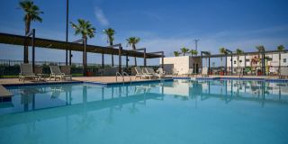 The Tree Apartments Gallery 26