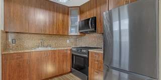 81 SAXONY B Gallery 1