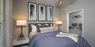 Lake Clearwater Gallery 25