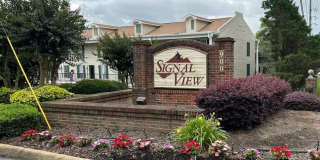 Signal View Gallery 1