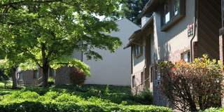 Conestoga Park Gallery 31