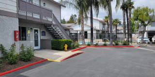 Grand Oaks Gallery 5