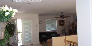 3316 Lacebark Pine Street Gallery 21