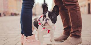 The Aldyn The Aldyn Gallery 15