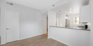 Bristle Pointe Gallery 23