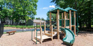 Magnolia at Milton Gallery 25