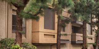 Elan View Pointe Gallery 12