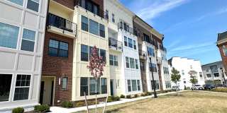 5006 Distillers Lane - A Gallery 1