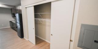 Verdant Gallery 11