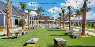 The Sophia Gallery 6