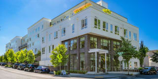 Edition Apartments Gallery 55