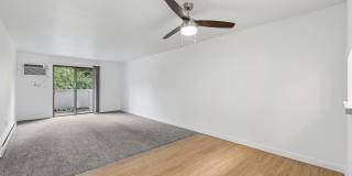 Shannon South Gallery 4