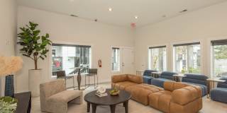 Lumina Apartments Gallery 45