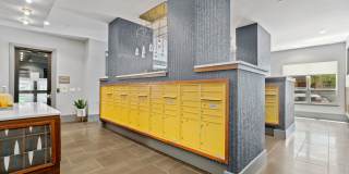 The Standard at Legacy Gallery 24