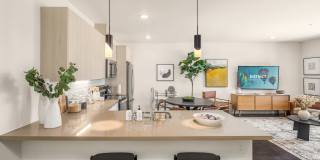 District Flats Gallery 7